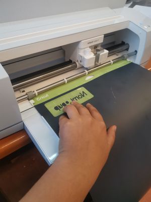 Charger le vynil.jpg