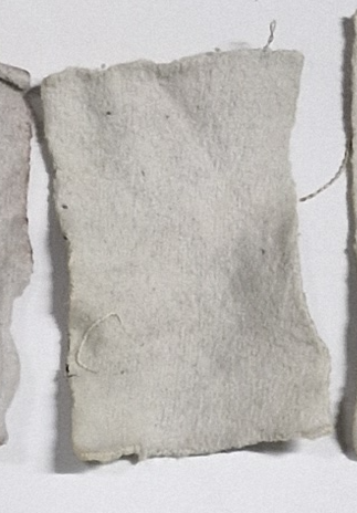 Fichier:C bio-100, bicarbonate.png