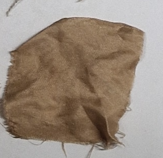 Fichier:S-100 citron noix.png