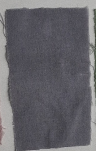 Fichier:L-95 LC-5 citron choux.png
