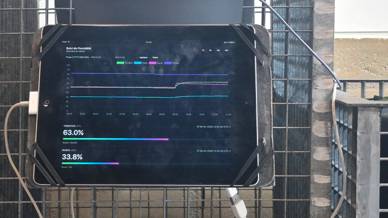Fichier:Img plantlab001.png