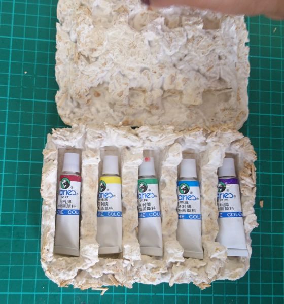 Fichier:Mycelium.jpg