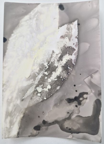 Fichier:Chemigramme1.jpg